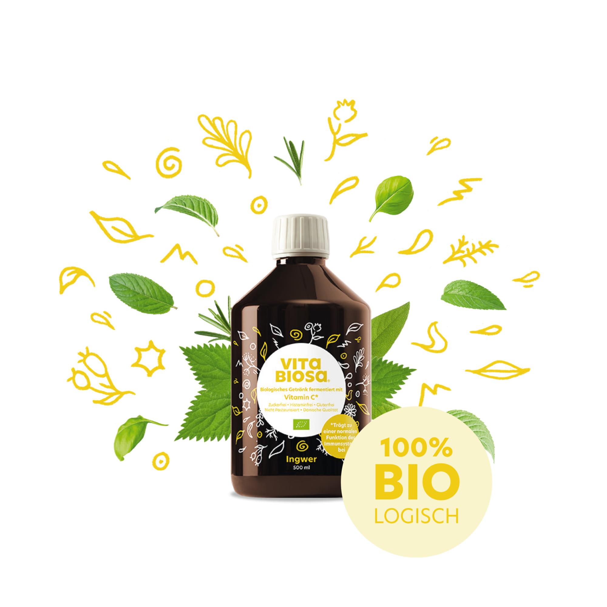 Vita Biosa Ingwer 500ml Milchsaeurebakterien kaufen front